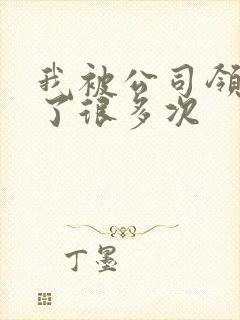 我被公司领导C了很多次