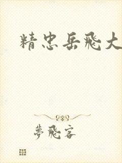 精忠岳飞大结局