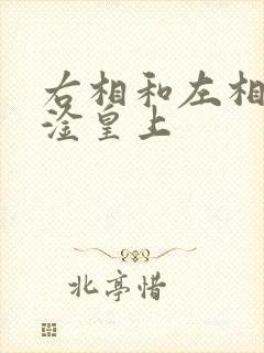 右相和左相一起淦皇上