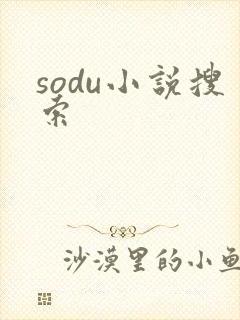 sodu小说搜索
