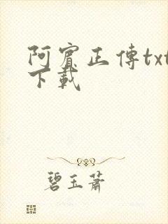 阿宾正传txt下载