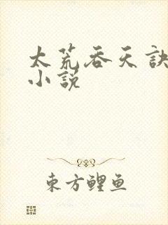 太荒吞天诀免费小说