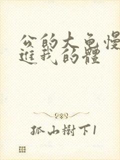 公的大龟慢慢挺进我的体