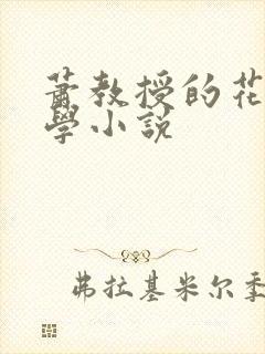 萧教授的花式教学小说