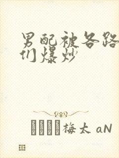 男配被各路大佬们爆炒