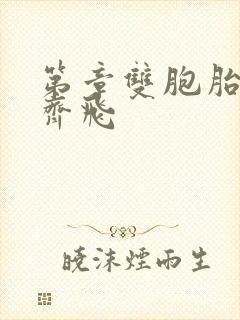 第章双胞胎姐妹齐飞