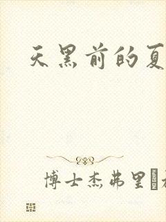天黑前的夏天