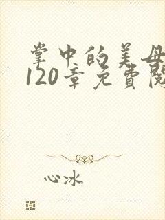 掌中的美母版主120章免费阅读