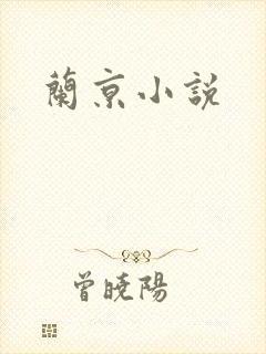 兰京小说