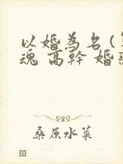 以婚为名 (军魂 高干 婚恋)