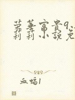 荣华富贵9小王莉莉小说免费阅读