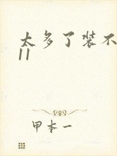 太多了装不下H11