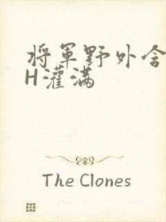 将军野外含公主H灌满