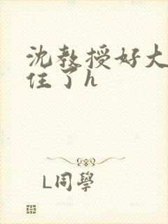 沈教授好大含不住了h