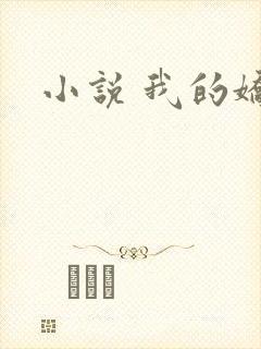 小说 我的娇妻