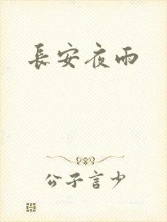 长安夜雨