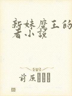 新妹魔王的契约者小说