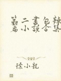第二书包辣网短篇小说合集