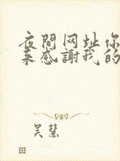 夜间网址你会回来感谢我的