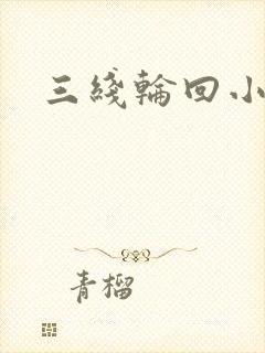 三线轮回小说