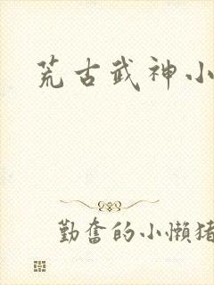 荒古武神小说