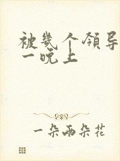 被几个领导玩弄一晚上