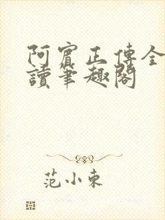 阿宾正传全文阅读笔趣阁