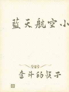 蓝天航空小说