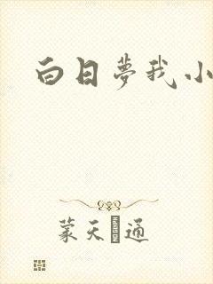 白日梦我小说