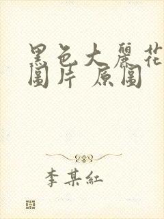 黑色大丽花真实图片 原图