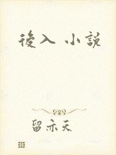 后入 小说