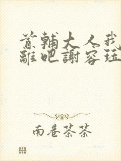 首辅大人我们和离吧谢容珏