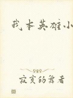 我本英雄小说