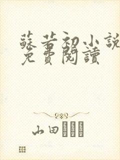 苏若初小说全文免费阅读