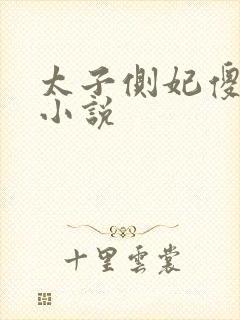 太子侧妃傻乎乎小说