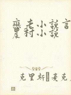 恋老小说言情网农村小说