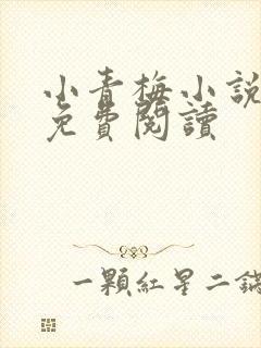 小青梅小说全文免费阅读