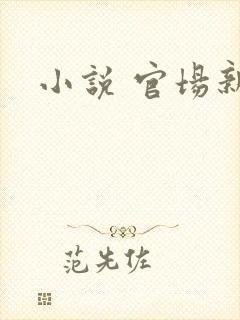 小说 官场新贵