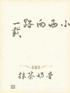 一路向西小说下载