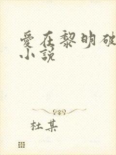 爱在黎明破晓前小说