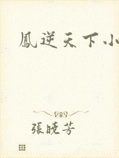 凤逆天下小说