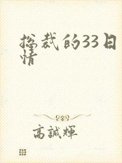 总裁的33日索情