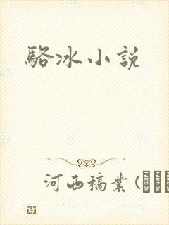 骆冰小说