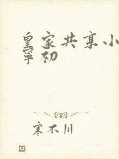 皇家共享小公主宁初