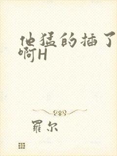 他猛的插了进去啊H