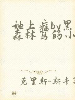 她上瘾by黑暗森林写的小说免费阅读无弹窗