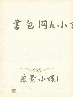 书包网h小说