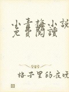 小青梅小说全文免费阅读