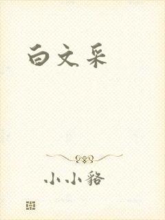 白文采