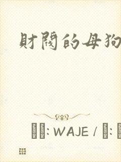财阀的母狗们